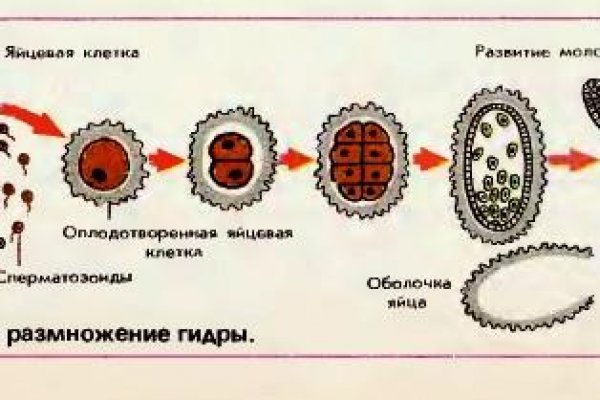 Кракен 17