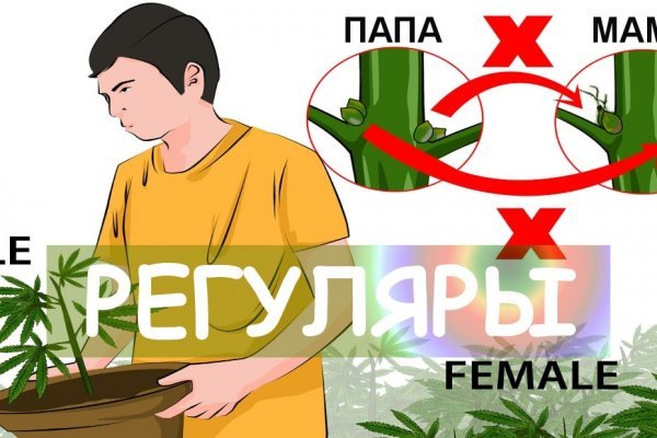 Какой кракен сейчас работает